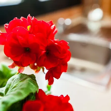 Sea La Vie In Beach Case de vacanță