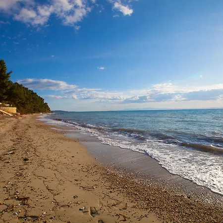 Sea La Vie In Beach